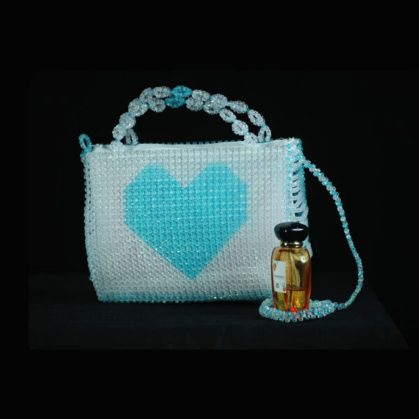 Ladies Bag 1